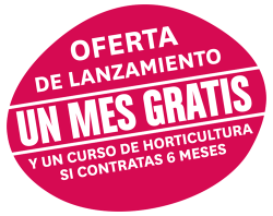 oferta-ok-150×150