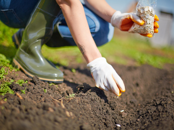 Huertos Montemadrid - Prepara tu terreno para el verano