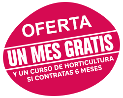 Oferta Primer mes gratis