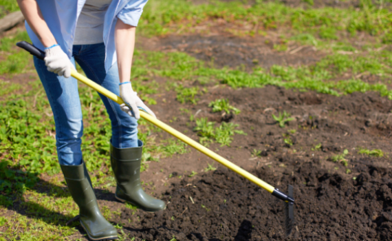 CÓMO PONER A PUNTO TU HUERTO URBANO DE CARA AL VERANO