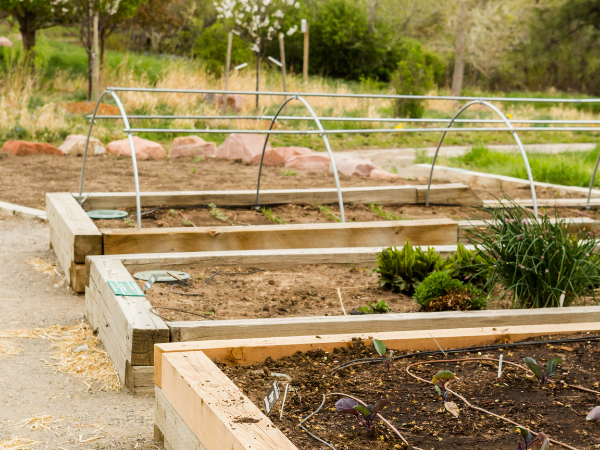 Construir una valla para el jardín